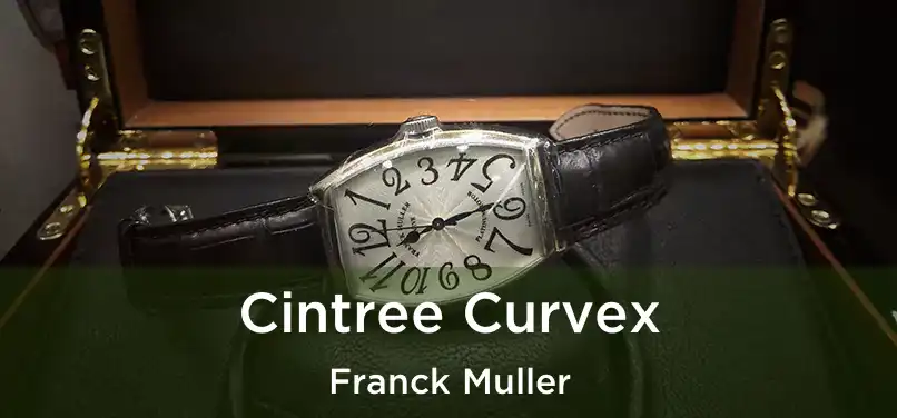  Cintree Curvex Franck Muller