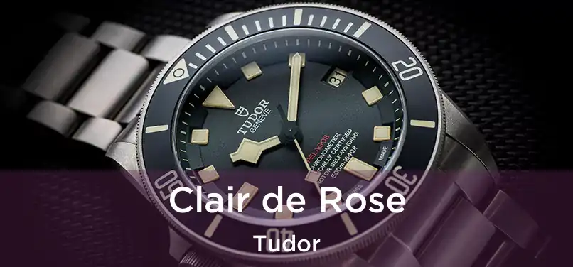  Clair de Rose Tudor