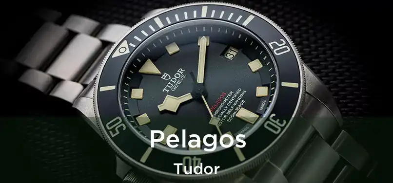  Pelagos Tudor